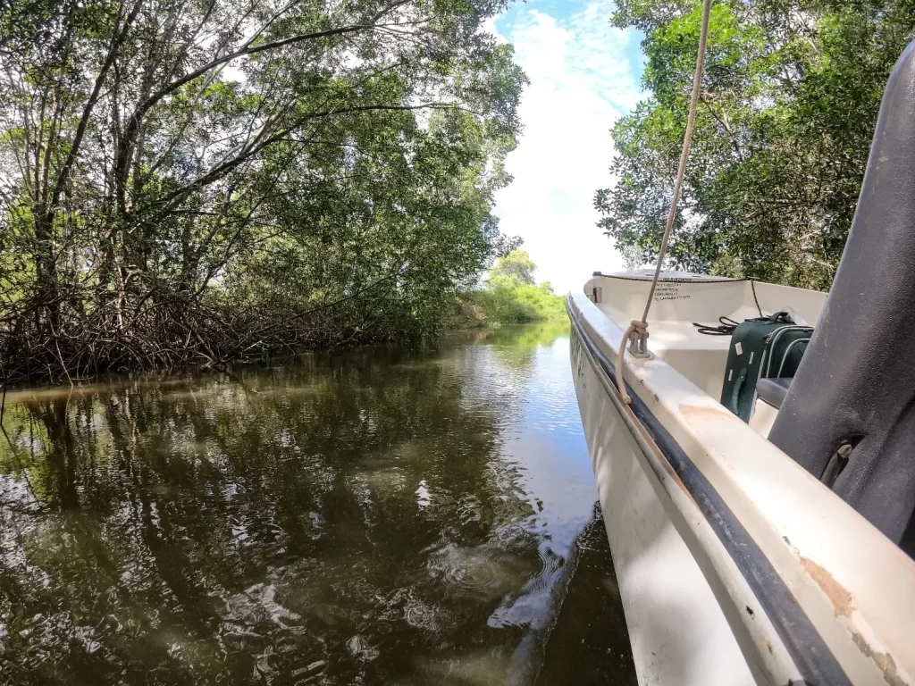 Acesso ao Delta do Parnaíba - PI - Vamos Trilhar