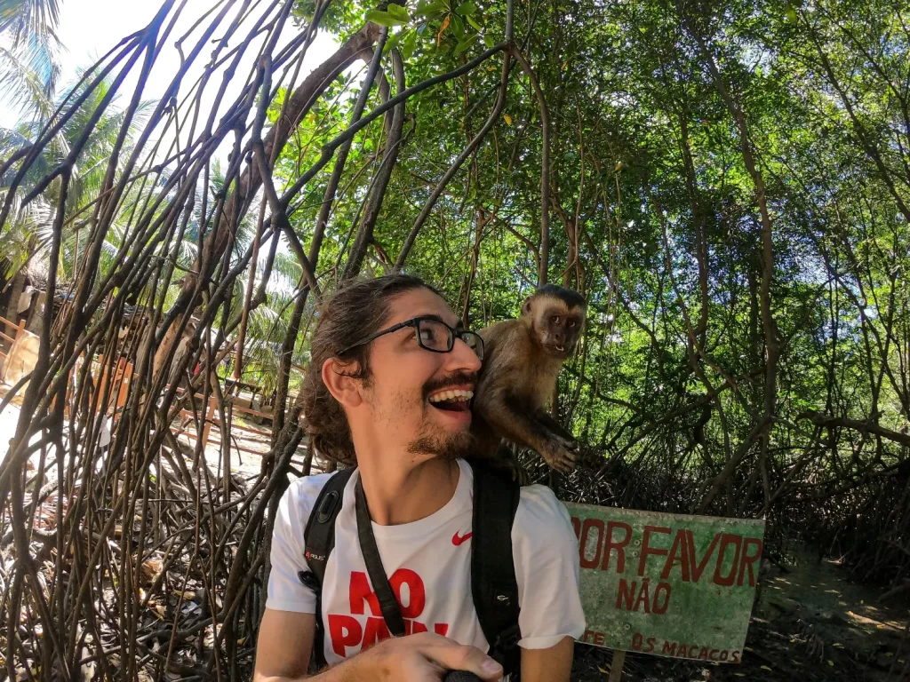 Macacos em Vassouras - Passeio de Lancha pelo Rio Preguiças - MA - Vamos Trilhar