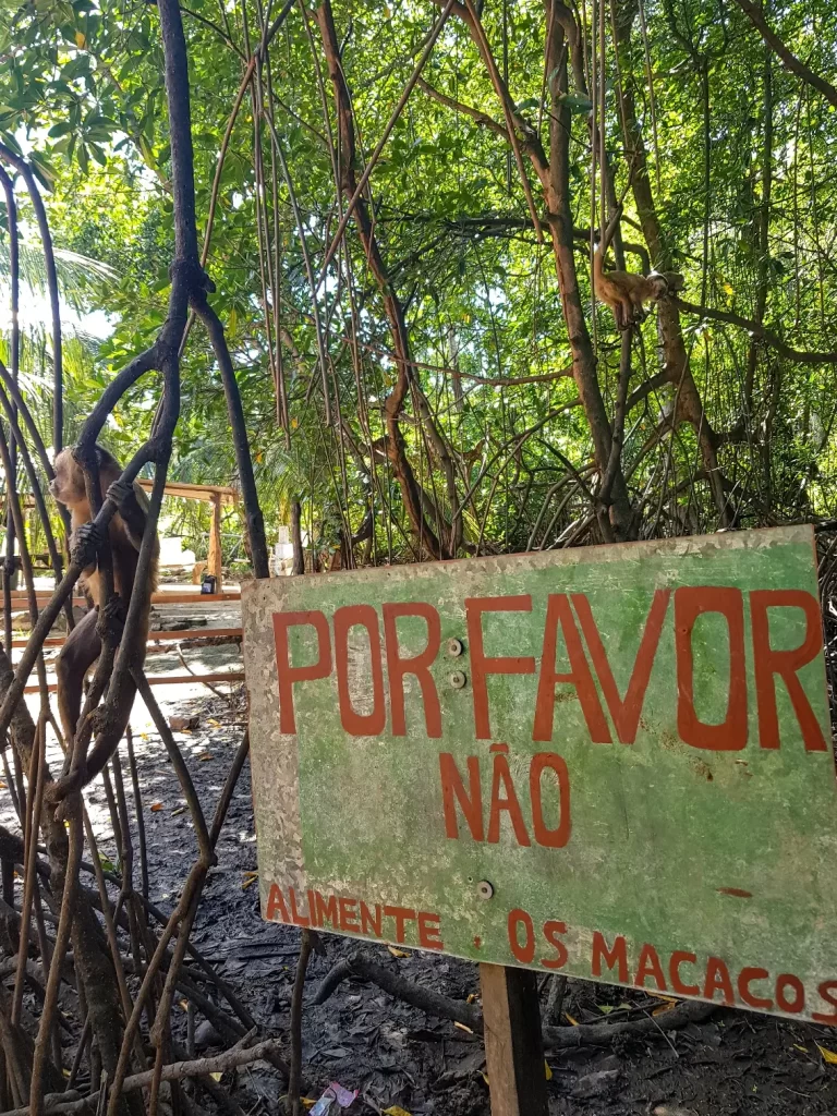 Placa para não alimentar macacos Vassouras - Passeio de Lancha pelo Rio Preguiças - MA - Vamos Trilhar