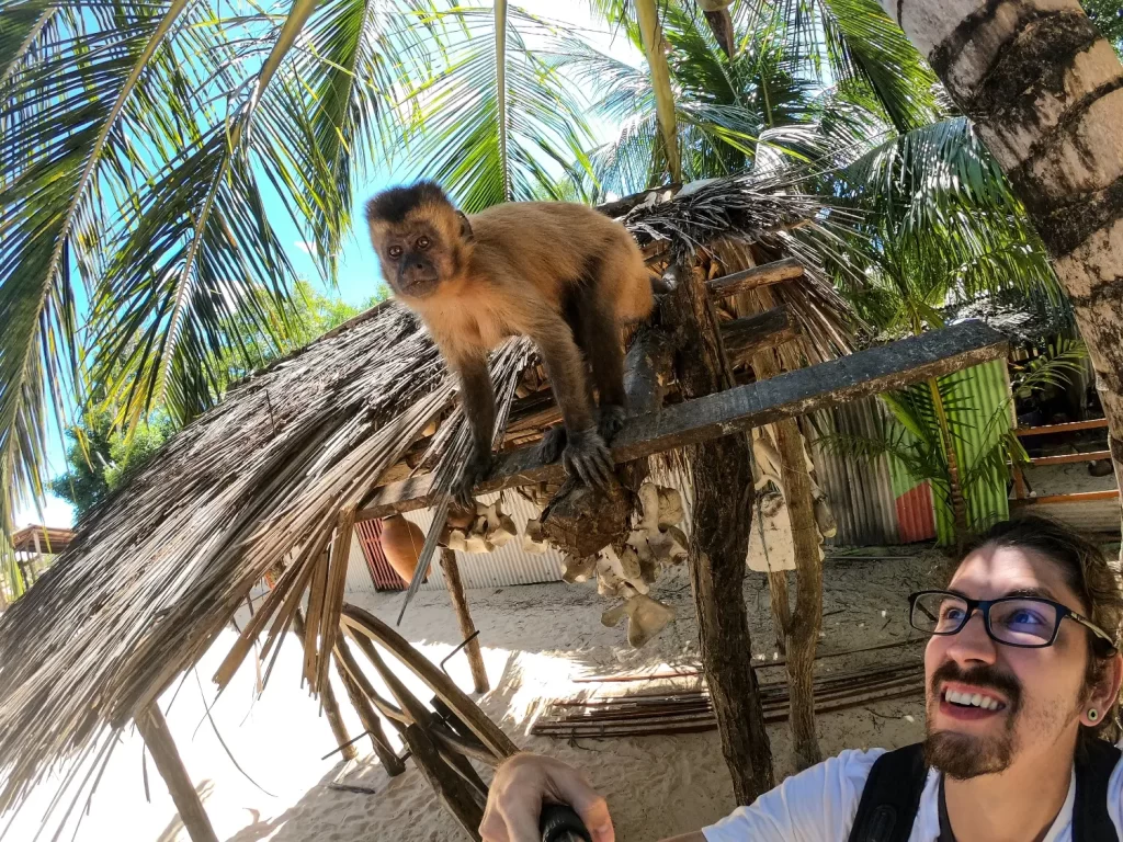 Porto dos Macacos - Vassouras - Passeio de Lancha pelo Rio Preguiças - MA - Vamos Trilhar