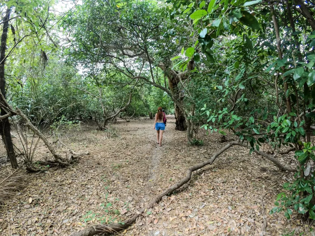 Trilha na Ilha do Coroatá - Delta do Parnaíba - PI - Vamos Trilhar