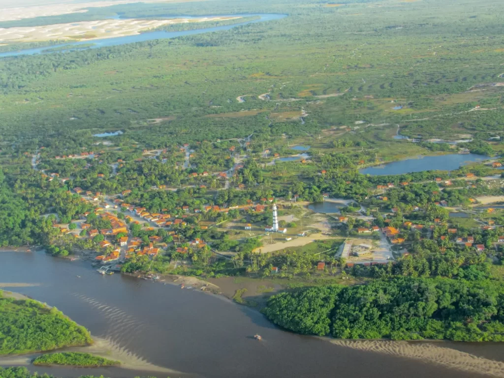 Mandacaru visto do sobrevôo pelos Lençóis Maranhenses - MA - Vamos Trilhar