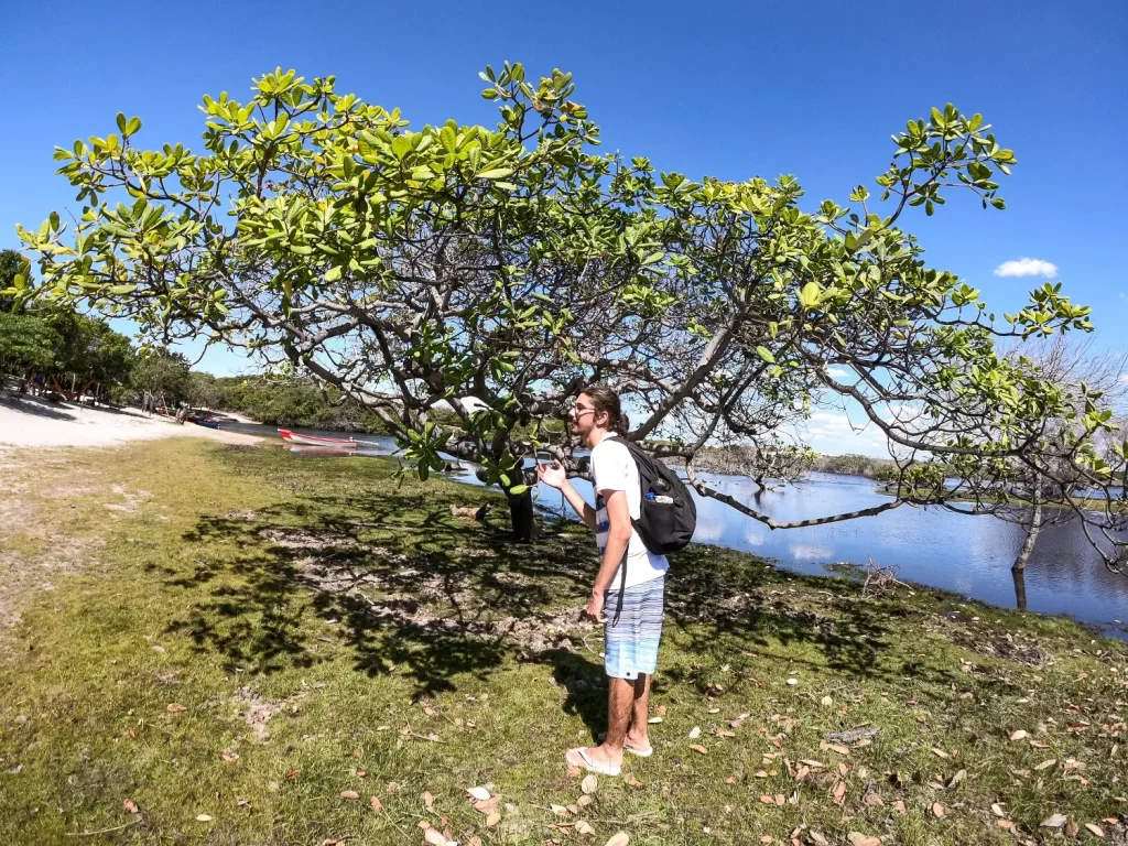 Povoado de Betânia - passeio das Lagoas da Gaivota e Andorinhas - Santo Amaro - MA