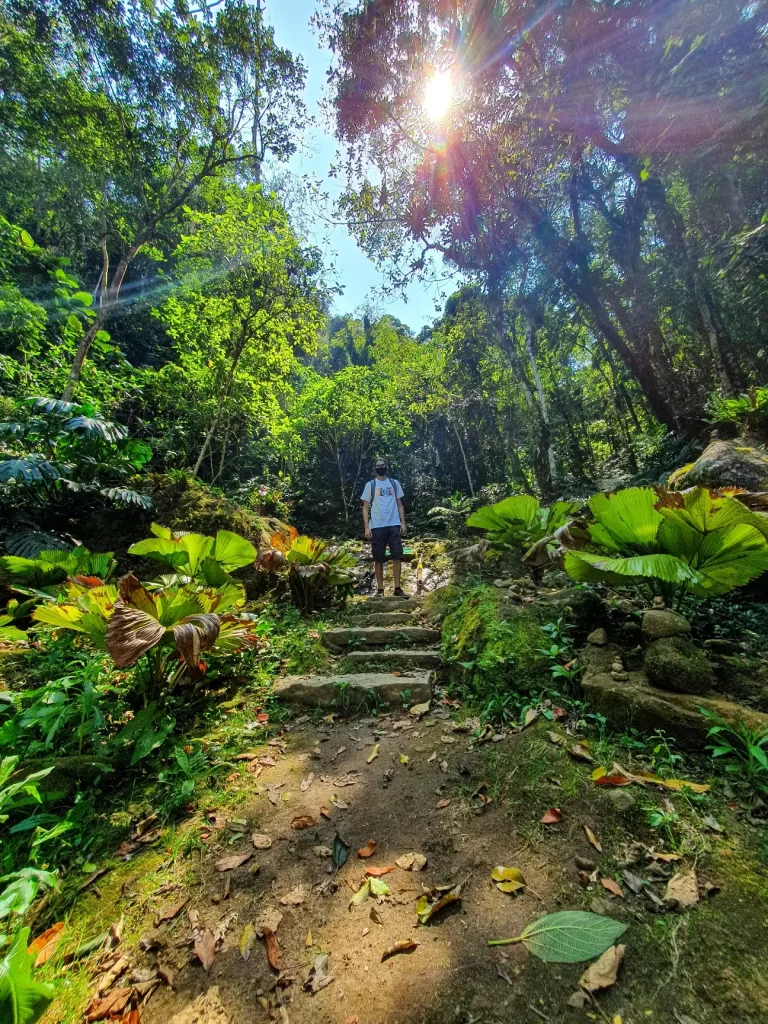 Chegando na Cachoeira de Aruanda - santuário Vale do Amor em Petrópolis - RJ - Vamos Trilhar