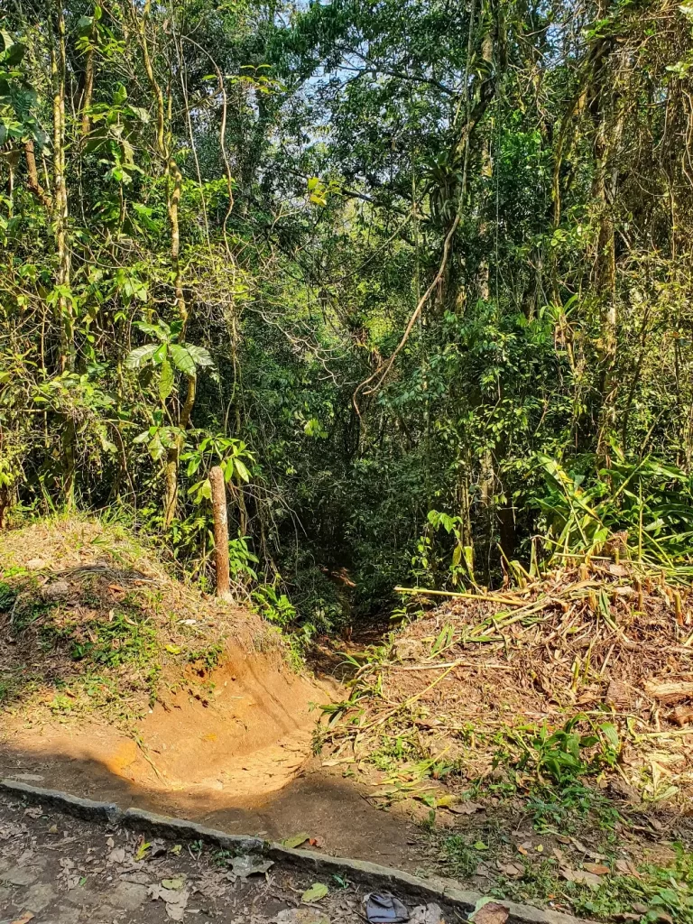 Entrada da trilha do Poço Negro (Poção) no Rocio - Petrópolis - RJ - Vamos Trilhar