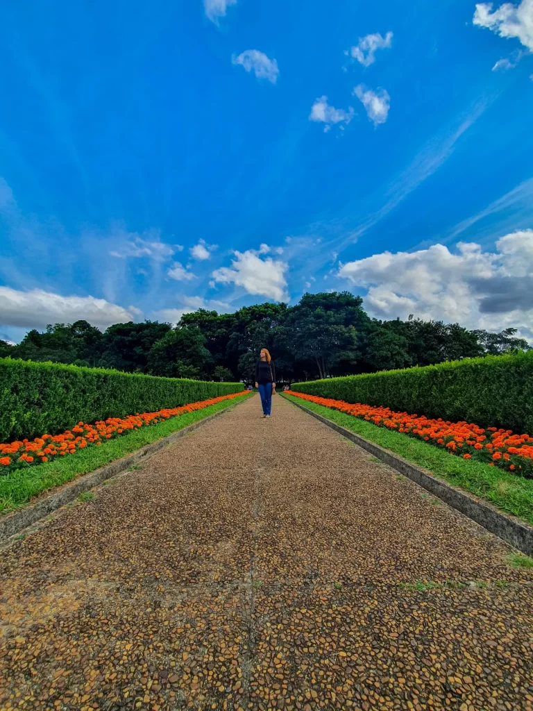 Flores no Jardim Francês - Jardim Botânico de Curitiba - PR - Vamos Trilhar