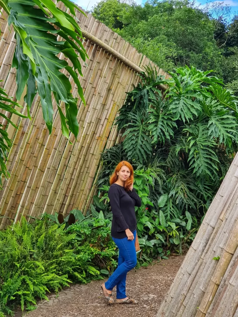 Museu botânico - Jardim Botânico de Curitiba - PR - Vamos Trilhar