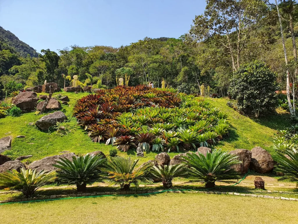 Yin Yang de plantas - santuário Vale do Amor em Petrópolis - RJ - Vamos Trilhar