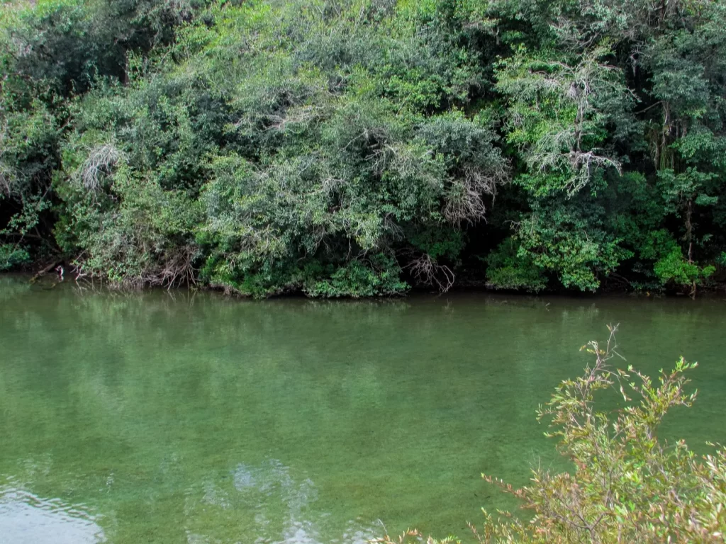 A Lagoa Dourada - Parque Estadual de Vila Velha - PR - Vamos Trilhar