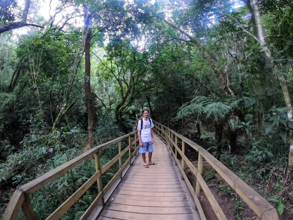 Passarelas da trilha do Buraco do Padre - Ponta Grossa - PR - Vamos Trilhar