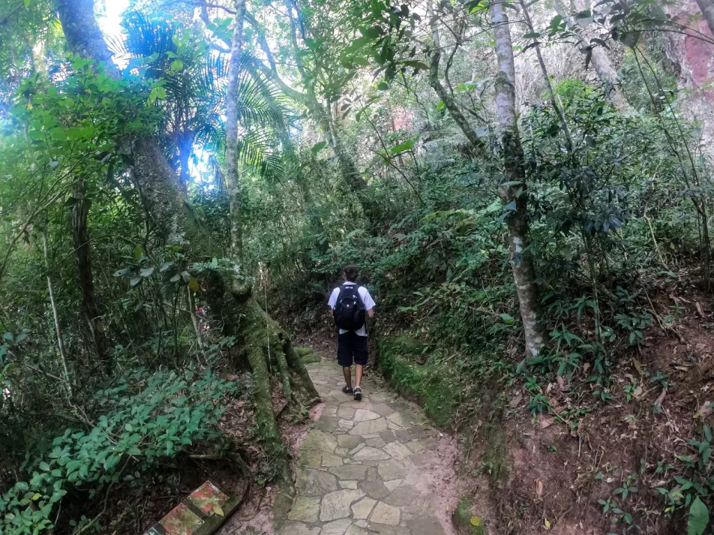 Volta pela floresta - Arenitos - Parque Estadual de Vila Velha - PR - Vamos Trilhar