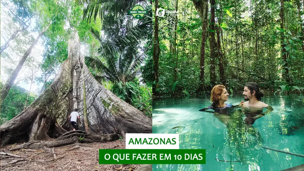 youtube-amazonas-o-que-fazer-em-10-dias-resumo