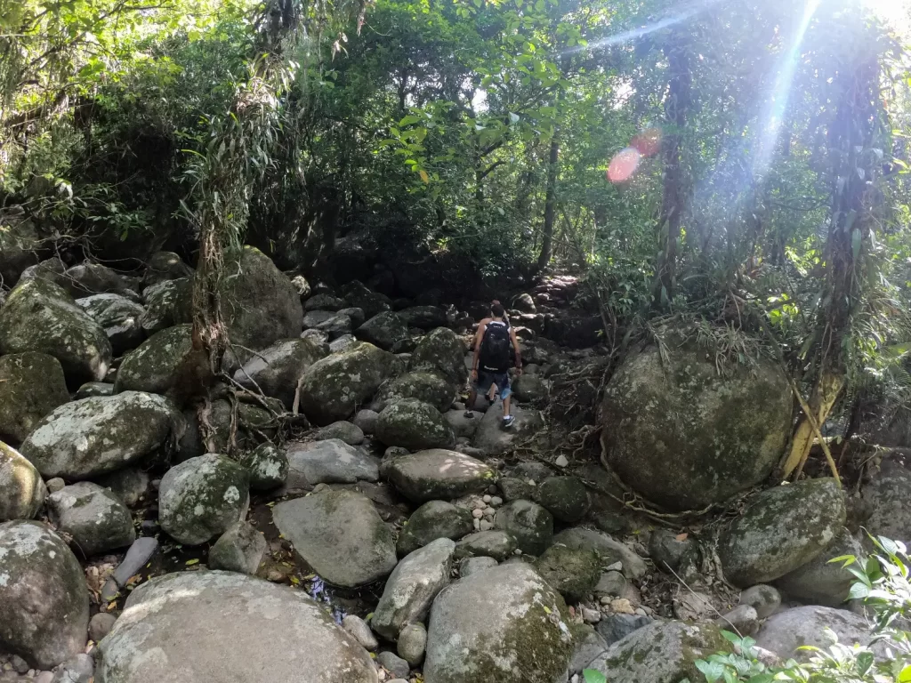A trilha do Poço da Capela - Parnaso - Guapimirim - Vamos Trilhar