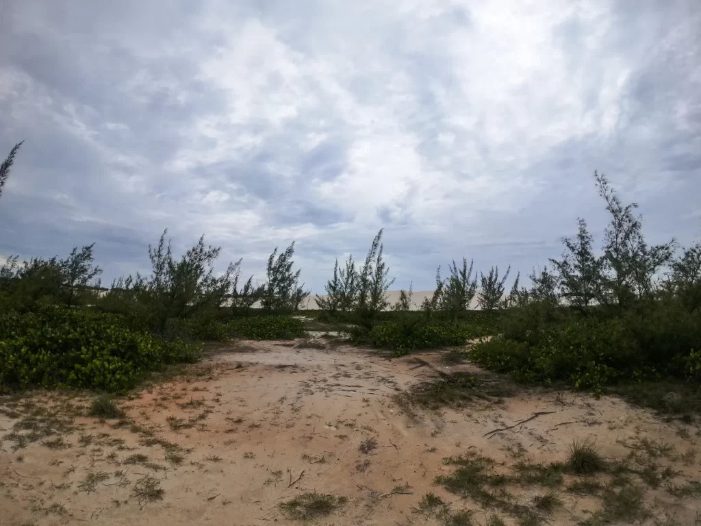 Sobre o Parque das Dunas - Cabo Frio - RJ - Vamos Trilhar