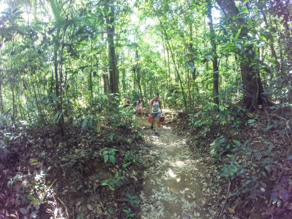 Trilha do Poço Verde - Parnaso - Guapimirim - Vamos Trilhar