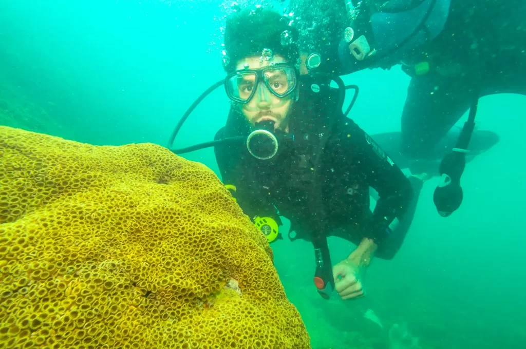 Mergulho - Arraial do Cabo - Vamos Trilhar