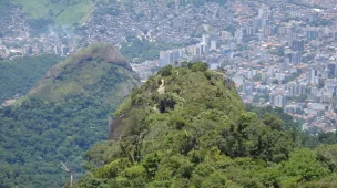 sobre-o-pico-da-tijuca-mirim-caminhadas-ecologicas-rj