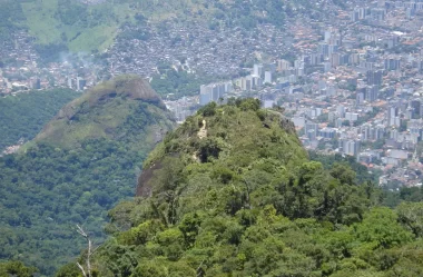 Conheça tudo sobre o Pico da Tijuca Mirim – Floresta da Tijuca – RJ
