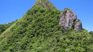 trilha-do-pico-da-tijuca-mirim-caminhadas-ecologicas-rj