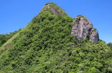 Roteiro da Trilha do Pico da Tijuca Mirim – Floresta da Tijuca – RJ