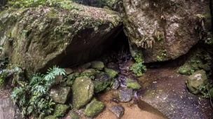 Roteiro-da-trilha-da-Cachoeira-da-Gruta-Horto-RJ-Vamos-Trilhar