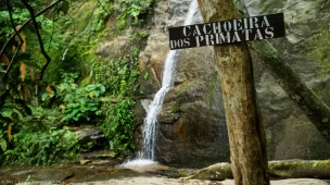 Roteiro da trilha da Cachoeira dos Primatas (Horto) - RJ - Vamos Trilhar