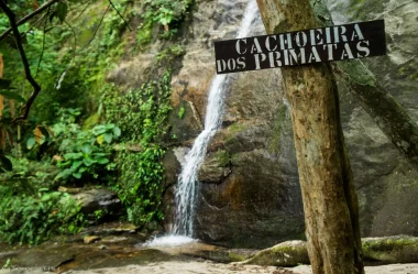Roteiro da trilha da Cachoeira dos Primatas (Horto) – RJ