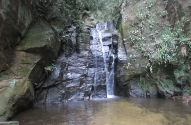 Roteiro da trilha da Cachoeira do Chuveiro (Horto) no Rio de Janeiro