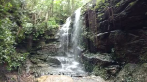 Roteiro da trilha da Cachoeira das Almas - Floresta da Tijuca - RJ - Vamos Trilhar