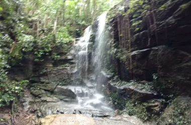Roteiro da trilha da Cachoeira das Almas – Floresta da Tijuca – RJ
