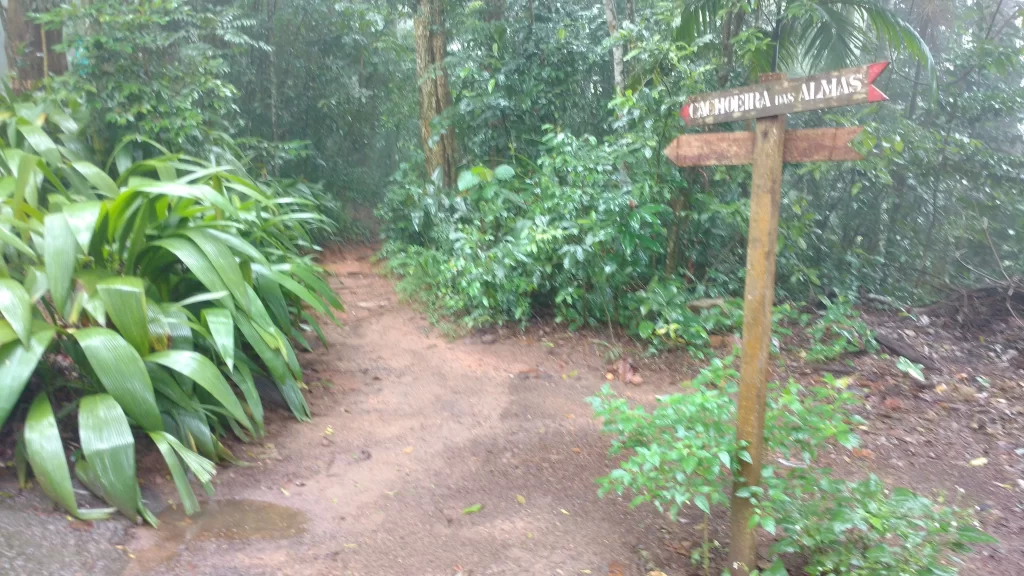 a trilha mais curta - cachoeira das almas - vamos trilhar