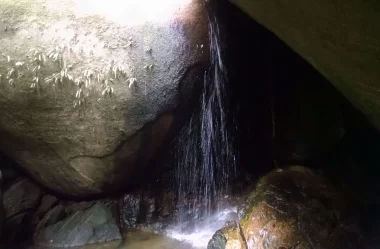 Roteiro da trilha da Cascata Diamantina – Floresta da Tijuca – RJ