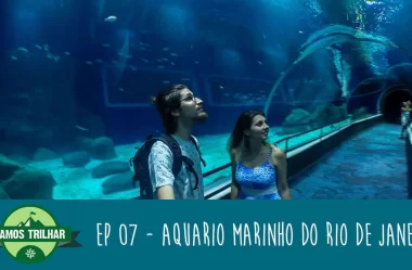 EP 07 – AquaRio (Aquário Marinho do Rio de Janeiro)