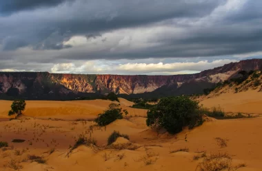 Conheça tudo sobre as Dunas do Jalapão e a Lagoa dos Jacarés – TO