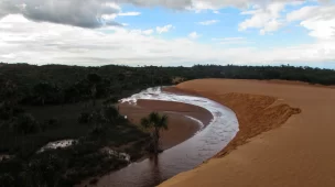 Você já ouviu falar no Jalapão O Deserto das Águas - Vamos Trilhar