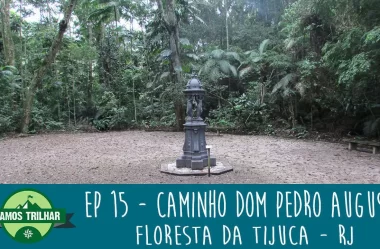 EP 15 – Caminho Dom Pedro Augusto (trilha adaptada) – Floresta da Tijuca – RJ
