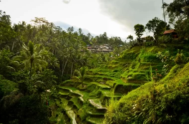 Viagem para Bali: o que fazer em Ubud