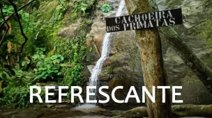 youtube-trilha-da-cachoeira-dos-primatas-horto-rj-vamos-trilhar