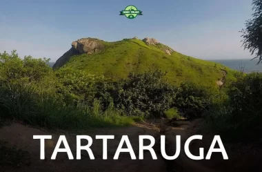 Pedra da Tartaruga e Praia do Perigoso: como fazer a trilha (ft. Agência Aventureiros) #39