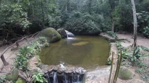 Roteiro da trilha da Cascata Gabriela - Floresta da Tijuca - RJ - Vamos Trilhar