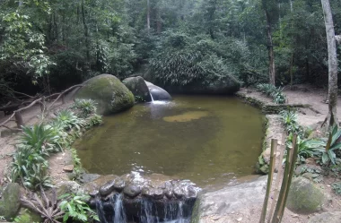 Roteiro da trilha da Cascata Gabriela – Floresta da Tijuca – RJ