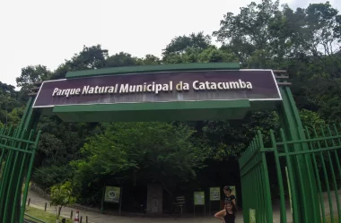 Conheça tudo sobre o Parque da Catacumba – RJ