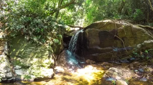 Roteiro da trilha da Cachoeira do Jequitibá - Horto - RJ - Vamos Trilhar