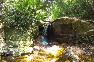 Roteiro da trilha da Cachoeira do Jequitibá – Horto – RJ