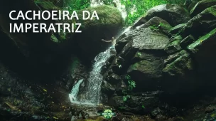 youtube-rio-de-janeiro-cachoeira-da-imperatriz-como-fazer-a-trilha-original-floresta-da-tijuca-vamos-trilhar