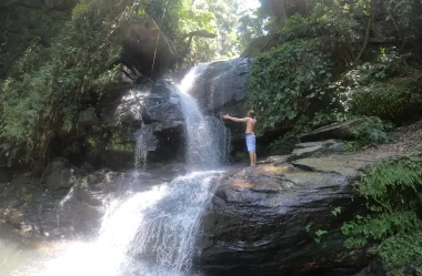 Roteiro da trilha da Cachoeira do Amor – Alto da Boa Vista (Floresta da Tijuca – RJ)