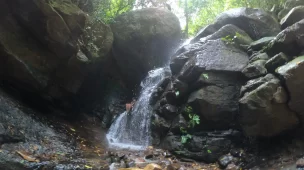 Roteiro da trilha dos Poços e Cachoeira da Imperatriz - Horto - RJ - Vamos Trilhar-min