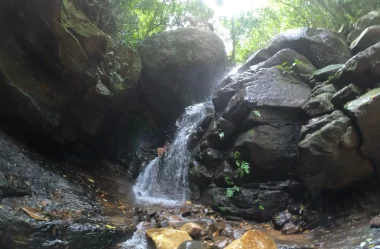 Roteiro da trilha dos Poços e Cachoeira da Imperatriz – Horto – RJ