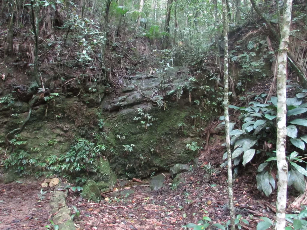 Cachoeira Violeta - Caminho Dom Pedro Augusto - Floresta da Tijuca - RJ - Vamos Trilhar