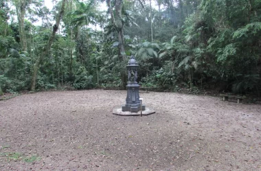 Conheça tudo sobre o Caminho Dom Pedro Augusto – Floresta da Tijuca – RJ